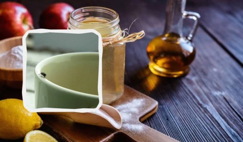 ����������� ������ ������ � ������� �� �����: ������� � ��������� �������