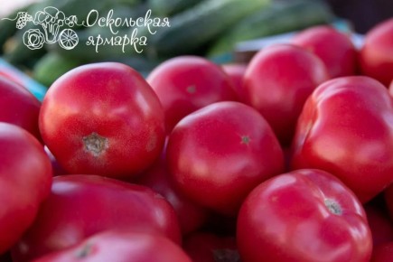 ���������� ������� � ������ ������