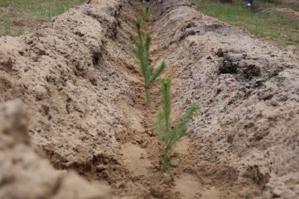 � ����������� ������ ���������� ����� ���� ������