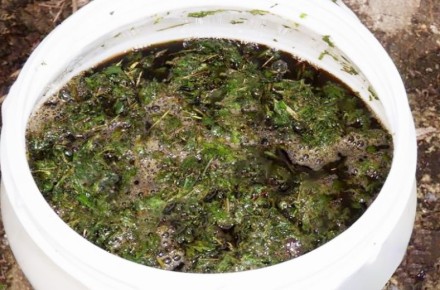 �������� ������: ��������� ��������� ��� ������ �������