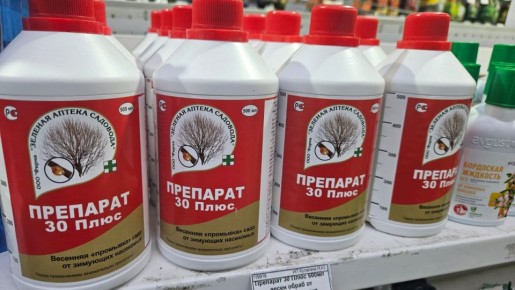 �������� ��������: ������ ��������� ��� ������ ������ � 2026 ����