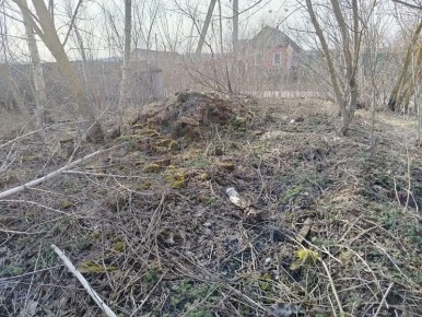 � ����������� ������������� ������ ����������� ������� ���� ��������� �����������