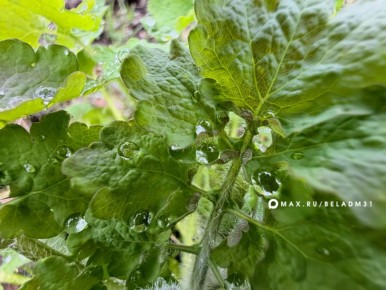 ������ ����, ��������!. ������� ��� ��� �������� � ������������ ������, � ������� ��� �������� �����