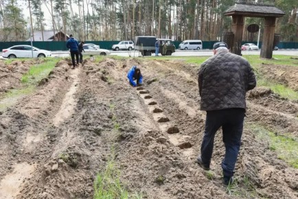 ����� � ������������� �������-�������������� ����� ���� ������ �������������� ����������