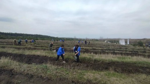 ������������� ����� ���� ������ ����� ���������� ��������� ������������ �������