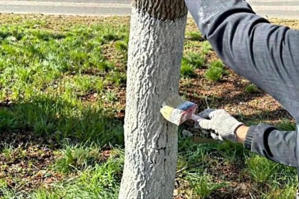 ������������ ������� ������ ������� �� ������������� ���������� �� ���������� ��������������� ��� �����