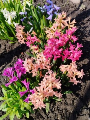 �������� ����� � ����������� ����� �����������