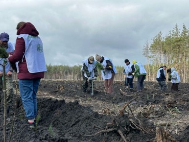 �� ���������� ����������� ����������� �������� ����� ���� ������