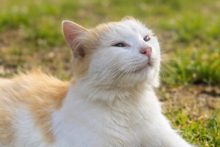 ������ ����, ����������!. ������� ��� ������� ��������� ���� ��� ��������: ������� ����������� ������� �������� + 12 �������� ��� ����� �������� ��� ����� ������������ �������� ������ � ��������� ������� ������ ������ �...