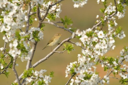 ������ 20 ������. ������� ��������� ������� ��������� �����