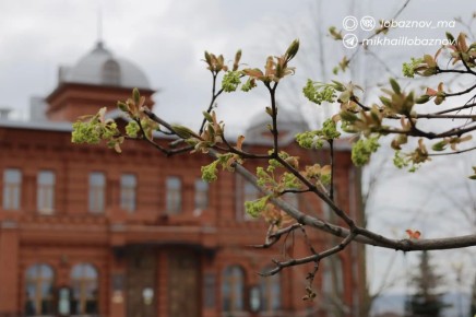 ������ ��������: ������, ������ � ���� �������� ��������� ������ �� ��������� ������: