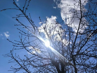 ������ ����, ����������!. ������� ���� ������� ���� ��������