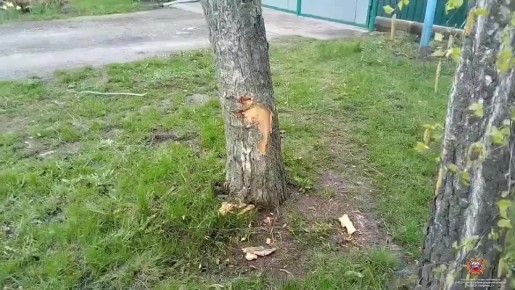 #������_���. �� ��������������� ������ �����, ����� 11 ����� 30 ����� �� ��. ������������ �. ��������� 57-������ �������� ���������� ���� 21213�, �������� � ��������� ������������ ���������, �� ��������� � ����������� �...