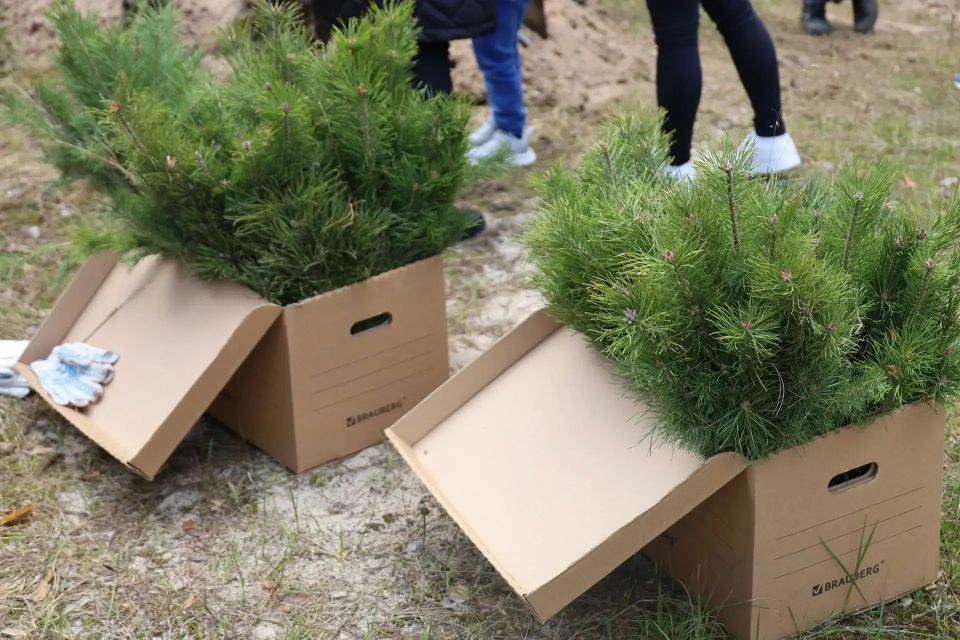 ����������� ����� ������������� � ������������� ����� ���� ������