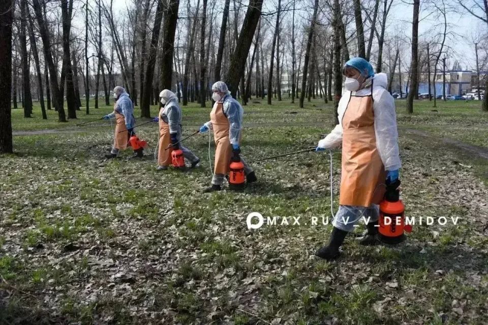 � ��������� ������������ ������������ ���������� �� ������