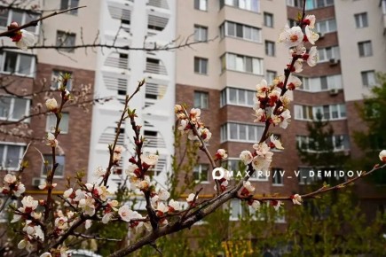 ��������������� ����� �� ����� 55� �������� � ���