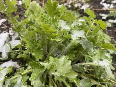 � ����� ����������. ��������� ������ � ���� ����� � ������� �����