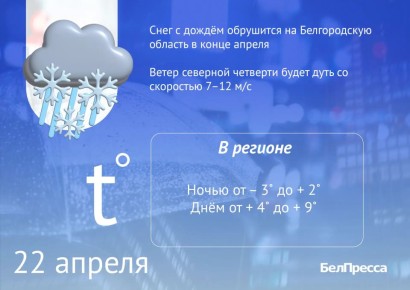 ��������� ����� ������� ���� ����������� ���������� 22 ������