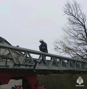 � ��������� ��������� ������� ����� � ������ ����