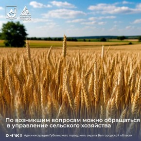 ����� �� �������� ���������� ��������