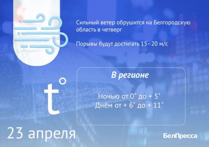 ��� ���� �������� ���� ������� �����������