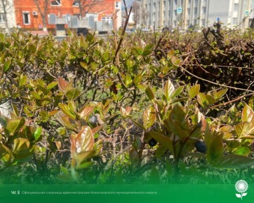 22 ������. ����������� ������� 7�C, ���������� ����������, ��������������� �����