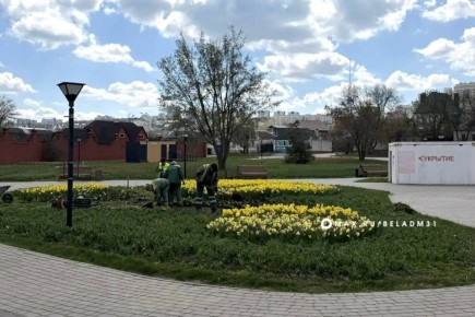 ���������� �������� ������� � ������