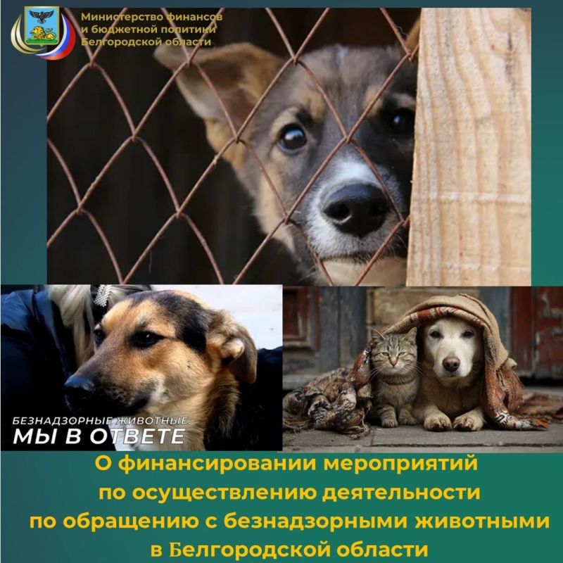 �� ���������� ������������ ������� � ������ ��������������� ��������� ��������� ��������� ��������� � ����������� � ������������ ������� ����������� ����������� �� ������������� ���������� �� ����������� ����������� ���...