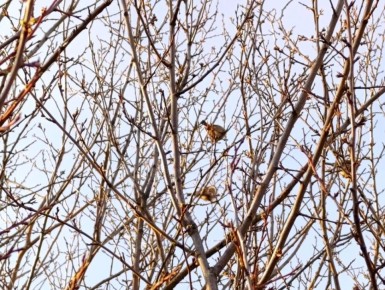 � ������ ���� ������ ���������� �� ������, � ��� ������ �������: ���������� ������ �����, ������� ����������� ������ �������, � ������ ����������� ��������� � �������� �����