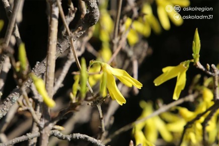 ������ ����, �������������!