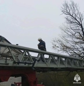 � ��������� ���������� ��� ������ ����