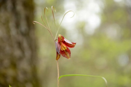 ������� ������������� ������ ����� � ������������ �����