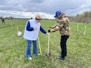 � ����������� ������ ���� ����� ������������� ����� ���� ������