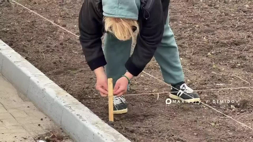 �������� �������: ����������� ���������� �� �������� ������� ��������