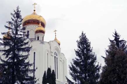 ������ ����, �������������!