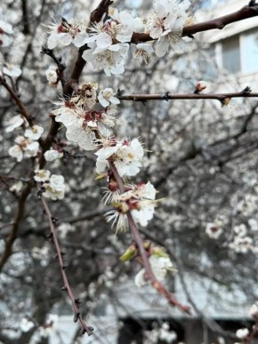 ������ ����, ����������!. ��������� ������� ��� ���������� �������