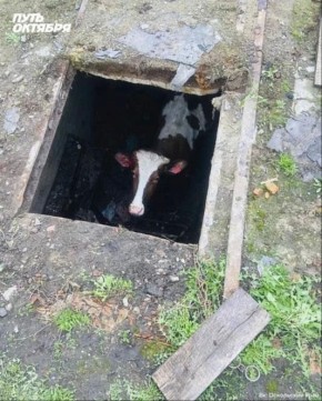 ������ ������ �� ������� � ������� �����������