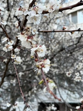 ������ ����, ����������!. ��������� ������� ��� ���������� �������