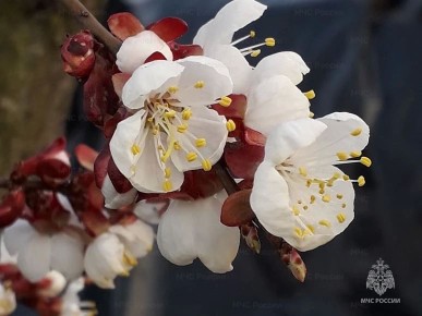 ����� ��������� � ����������� �������� � �������