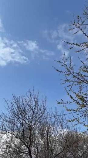 ������ 24 ������. ������� ��������� ������� �����