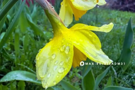 ������ ����, ��������!. . �������, 25 ������, ����� ������� � ������������