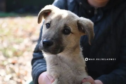 ������� ������ ����� ������� ���������� ����� � ������ ��������