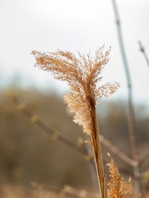 ������ 27 ������. ������� ��������� ������� �����