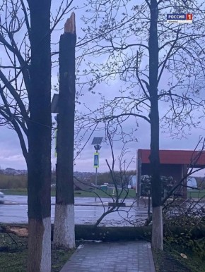 ������������ ����������� �������� � ��������� ��������� ������� � ���� ����������