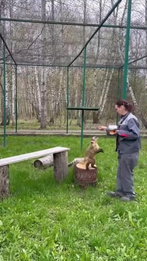 � ������������ �������� ���������� ������� ���������� ������