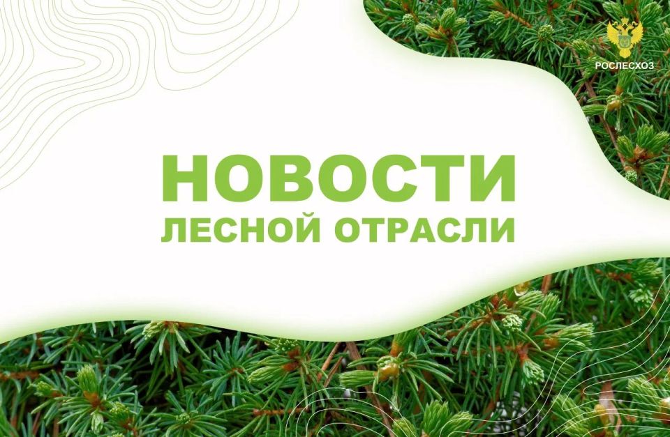 �������������: ���� ����� ����� �������� 62 ������ ������� � 14 �������� �� ������