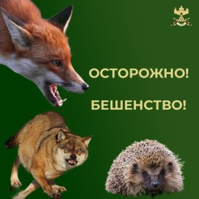 ���������: ��� ���������� �������� � �������� ���� � �������