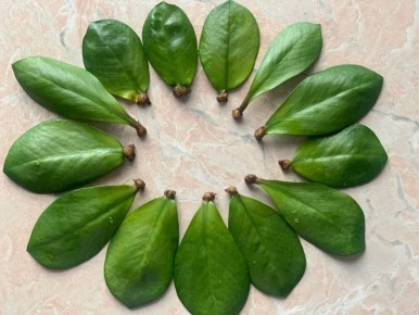 ���������� ������ ����������� �������������: ����� �������� ��� ������ ������