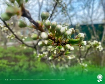 29 ������. ����������� ������� 10�C, ���������� ����������, ��� �������