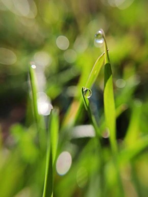 ����� ���������� ����� ����